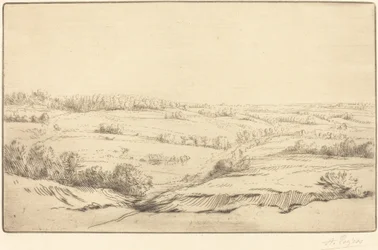 Enkel