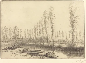 Poplar nära Amiens Nära Amiens, torvmarkerna.