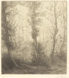 Liten sjö