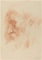Studie av en mans huvud [recto].