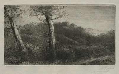 Resenären sträckte ut på gräset, ca. 1888.