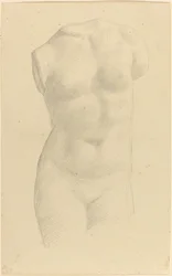 Torso.