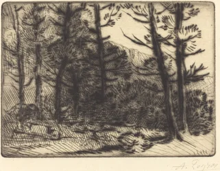 Skog i vintersol, 2:a tallrik