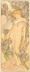 Dö Iris