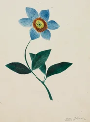 Stjärnblomma (akvarell)
