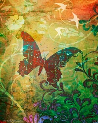 Fjärilshaiku, 2014, digital mixed media-phoneografi