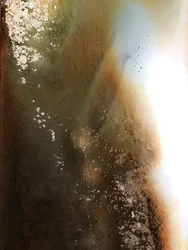 Golden Organic Flow