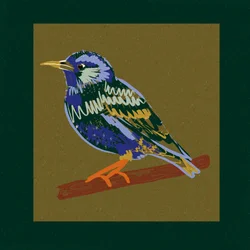 Livfull starling på en gren