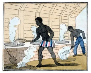 Koka och kyla sockret, 1826