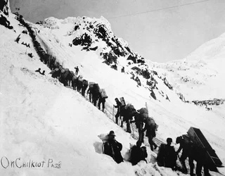 Prospektörer som klättrar på Chilkoot Pass under Klondike Gold Rush (1897-98) (s/v foto)