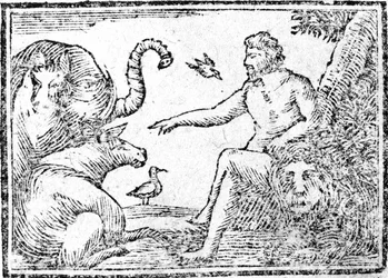 Adam som namnger djuren, illustration från An Abridgement of the History of the Holy Bible, publicerad 1794