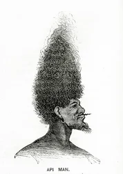 Api Man, illustration från Appletons Journal, 4 maj 1872