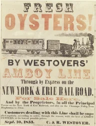 Färska ostron! Av Westovers Amboy Line, Through av Express på New York & Erie Railroad, 10 september 1853