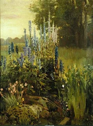 stockrosor