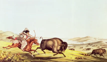 Jaga buffeln