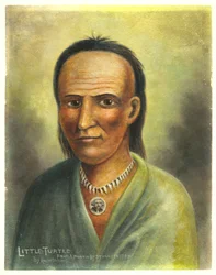 Lilla sköldpaddan
