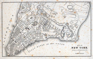 Karta över New York (litho)