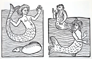 Mermaids and Mermen, från The World Guide to Gnomes, Fairies, Alves and Other Little People av Thomas Keightley (1789-1872) Publicerad 1880, (BW Engraving)