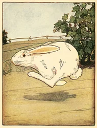 Peter slutade aldrig springa, från The Tale of Peter Rabbit, pub. 1916 färglitografi, 1916.