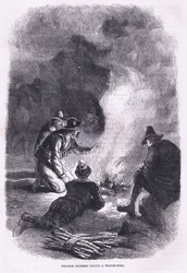 Pilgrim Father