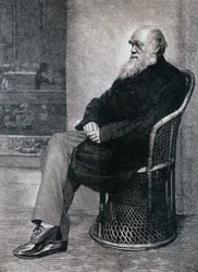 Porträtt av Charles Darwin
