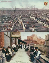 Vykort som visar lagergårdarna och slakterierna i Chicago och arbetare med lunchhinkar på sin rast i Whiskey Row, ca 1910 (färgat foto)