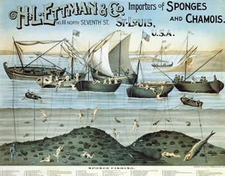 Affischreklam H.L. Ettman & Co., importörer av svampar och sämskskinn, 1897