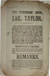 Förhandlingar och adress för konstitutionella konventet, ca 19 mars 1861
