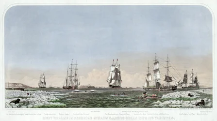 Right Whaling i Behering Straits & Ishavet med dess varianter, pub. 1871.