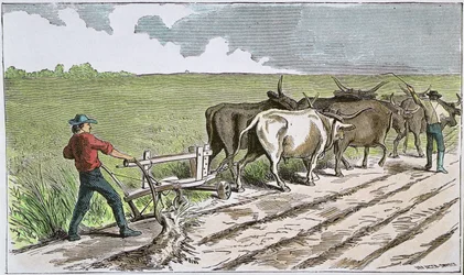 Sodbusters of the American West, c.1880 (färgad gravyr)