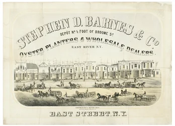 Stephen D. Barnes & Co. Oysterplanterare och grossister, depånr. 4 fot från Broome Street