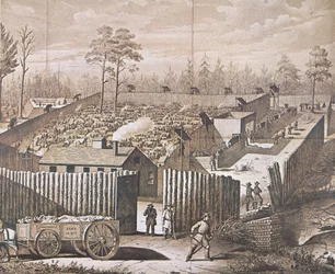 Krigsfångelägret i Andersonville (litho)