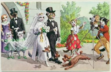 The Wedding, amerikanskt vykort, tidigt 1900-tal
