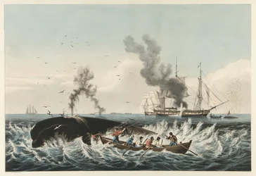 The Whale Fishery - Att attackera en "rätt" val och "cutting in", pub. 1860 (lito i färg)