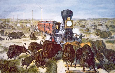 Tågpassagerare på Kansas Pacific Railroad som skjuter buffel för sport på 1870-talet (litho i färg)