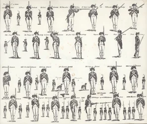 US Manual of Arms (litho)