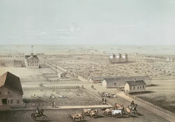 Union Stockyards, Chicago