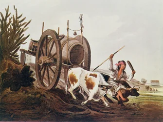Vattenvagn, reproducerad från Vidals pittoreska illustrationer av Buenos Aires och Montevideo, pub. år 1820, från The Romance of the River Plate, Vol. I, av W. H. Koebel, 1914