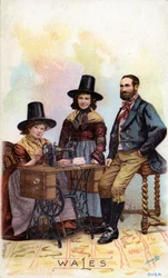 Walesisk familj grupperad kring en Singer symaskin, ca 1893