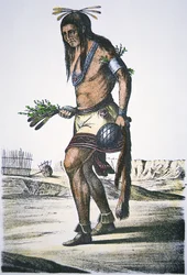 Zuni stamman