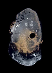 Abstrakta guldbubblor
