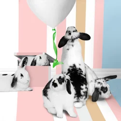 Bunnies 01, 2018 (fotografi)