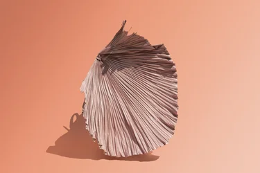 Ikebana 07, 2018 (fotografi)
