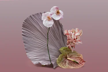 Ikebana 12, 2018 (fotografi)