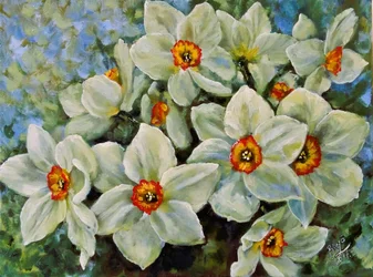 Blommande påskliljor