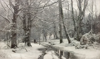 Frost väder i en bokskog