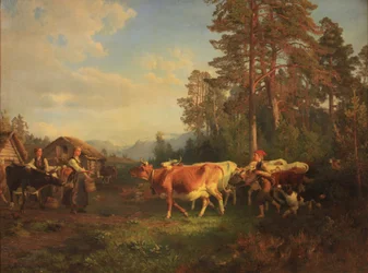 Nötkreatur på väg hem