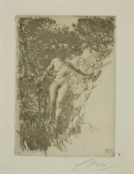 Småskog