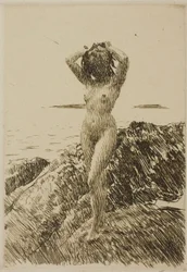 Hårtång (tångkrans)