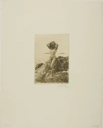 Hårtång (Sjövedskrans)